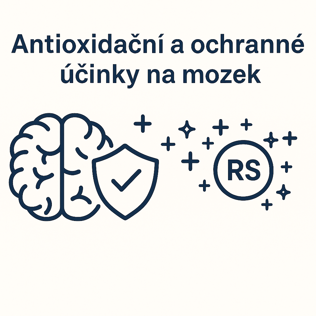 ChatGPT Image 24. 11. 2025 11_34_23